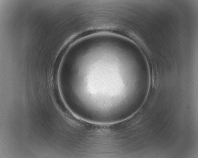 X0000081600483200701221140