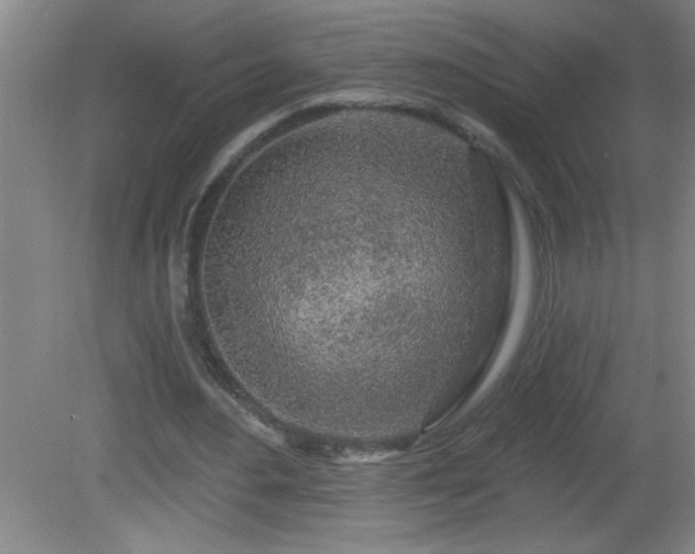 X0000081600484200701221140