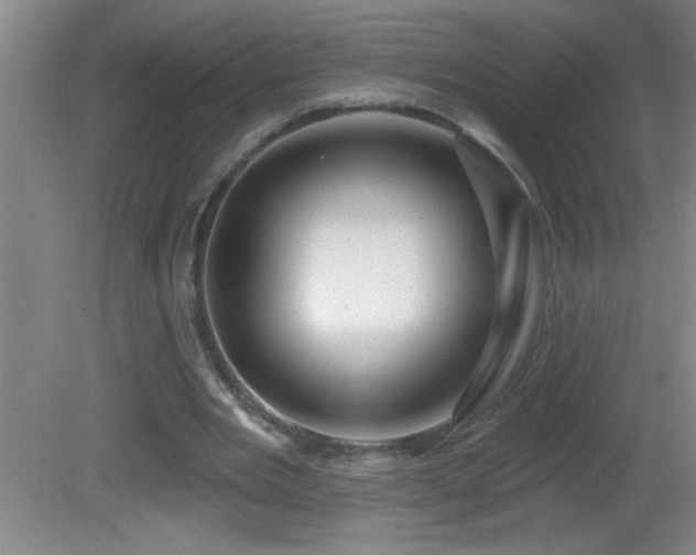 X0000081600485200701221140