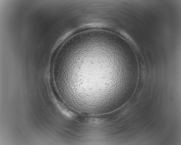 X0000081600486200701221140