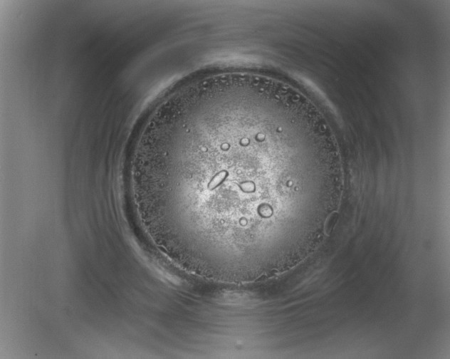 X0000081600487200701221140