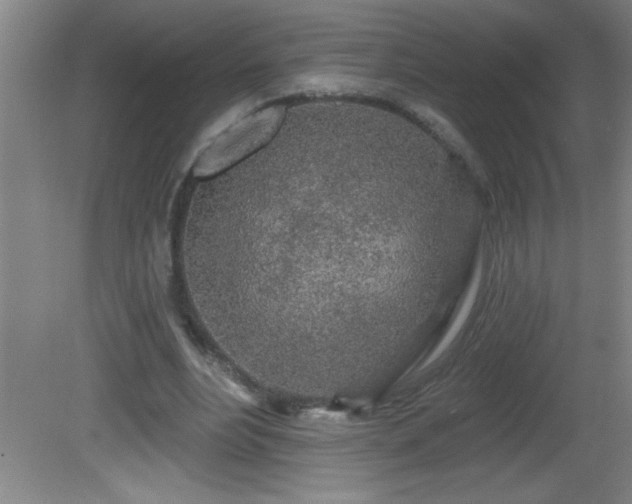 X0000081600488200701221140