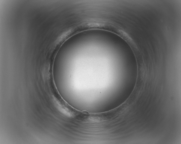 X0000081600490200701221140