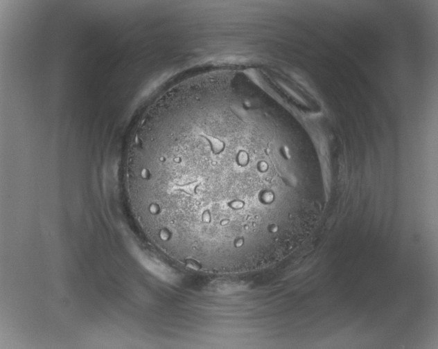 X0000081600491200701221140