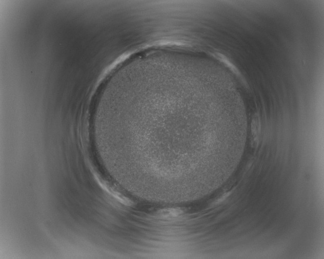 X0000081600492200701221140