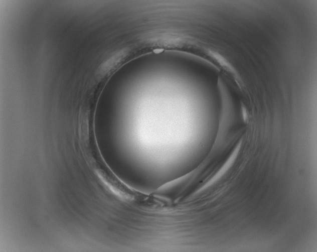 X0000081600493200701221140