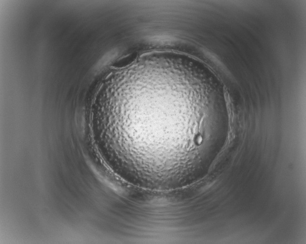 X0000081600494200701221140