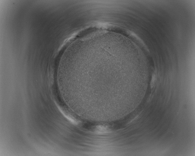 X0000081600496200701221140