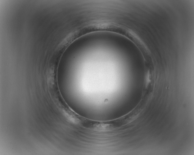 X0000081600497200701221140