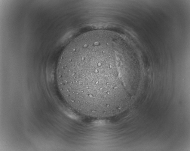 X0000081600499200701221140