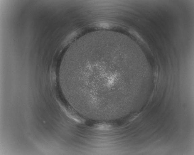 X0000081600500200701221140