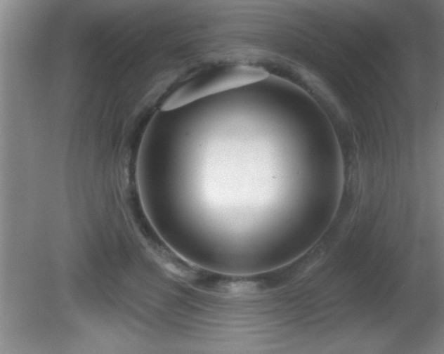 X0000081600501200701221140