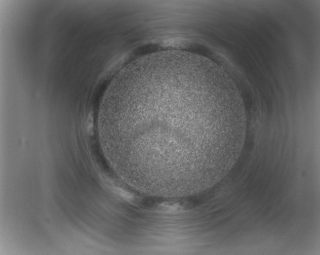 X0000081600502200701221140