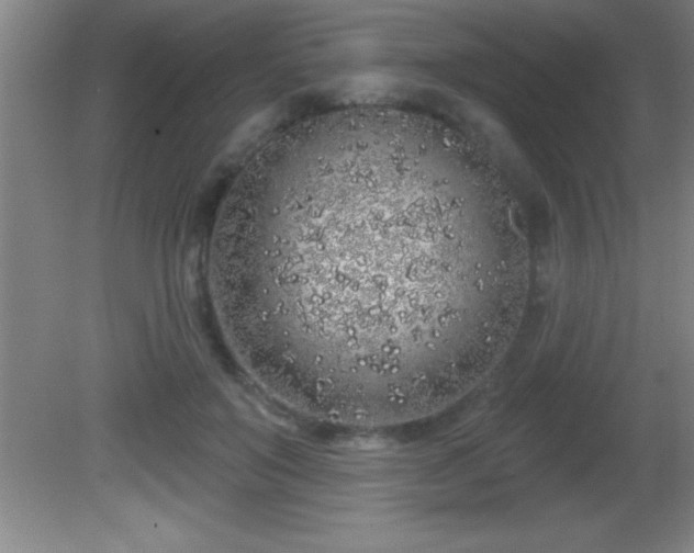 X0000081600503200701221140