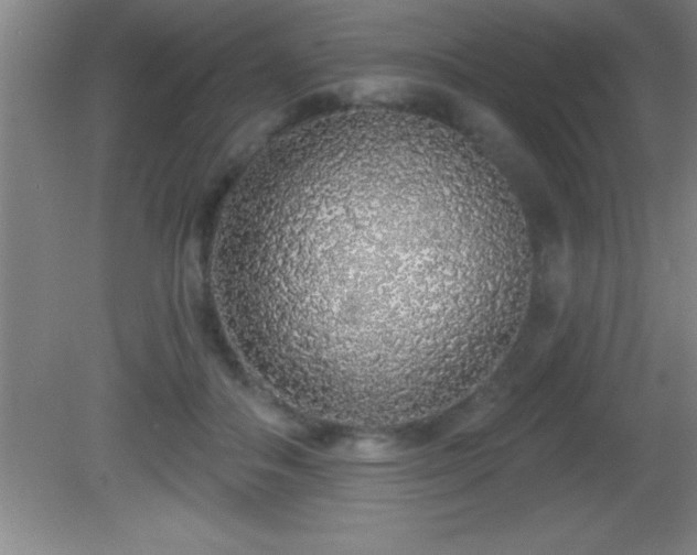 X0000081600506200701221140