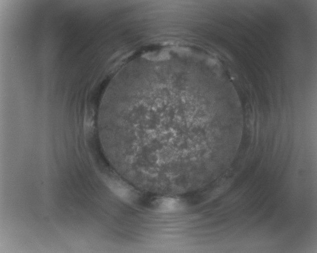 X0000081600507200701221140