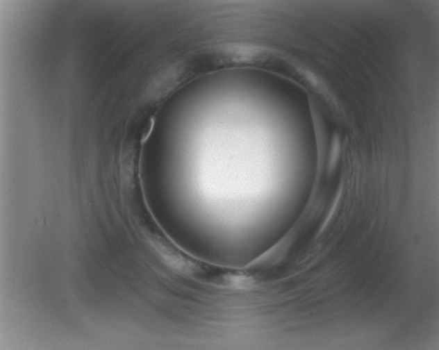 X0000081600509200701221140