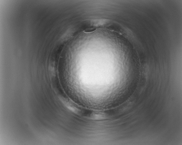 X0000081600510200701221140