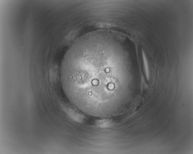 X0000081600511200701221140