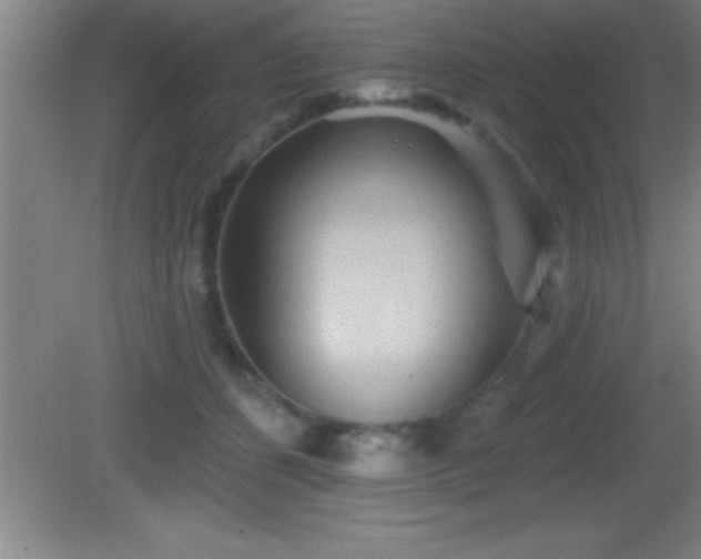 X0000081600512200701221140