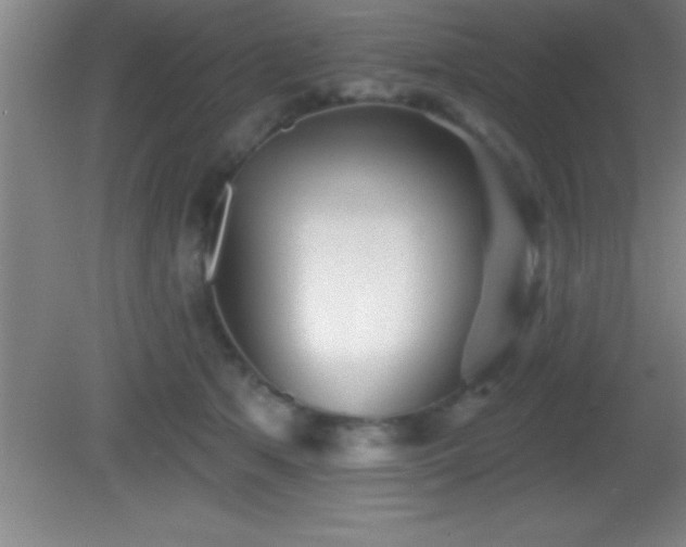 X0000081600513200701221140