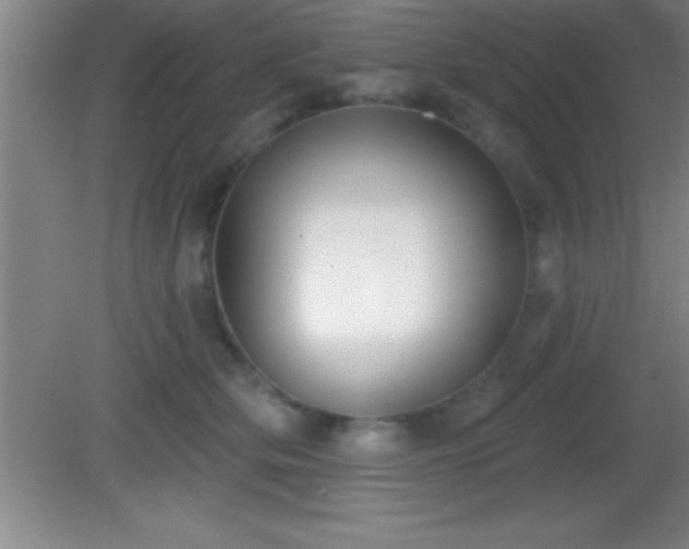 X0000081600514200701221140