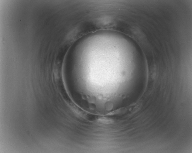 X0000081600515200701221140