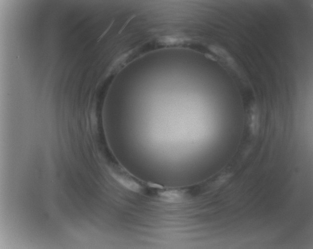 X0000081600516200701221140