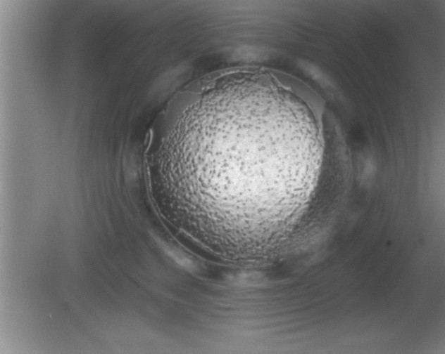 X0000081600517200701221140