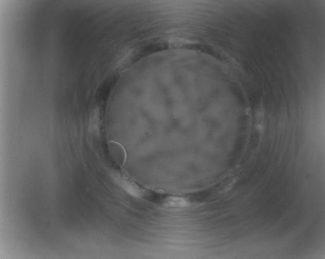 X0000081600519200701221140