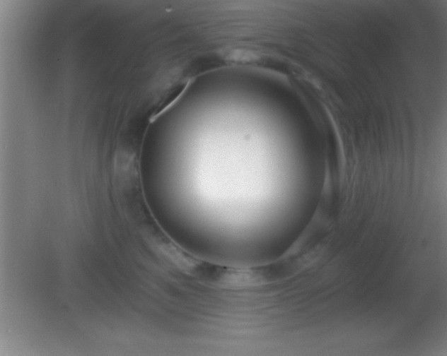 X0000081600521200701221140