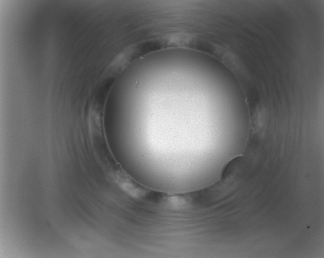 X0000081600522200701221140