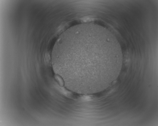 X0000081600523200701221140