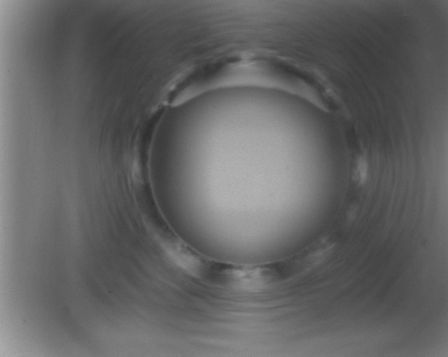 X0000081600524200701221140