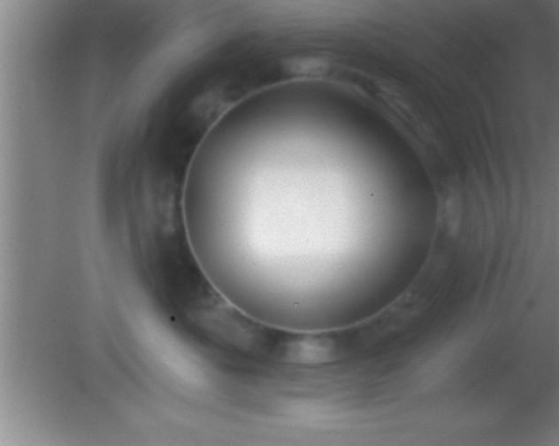 X0000081600525200701221140