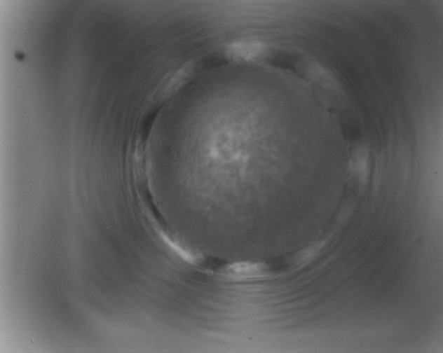 X0000081600526200701221139