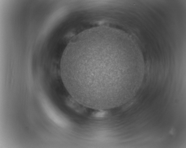 X0000081600527200701221139