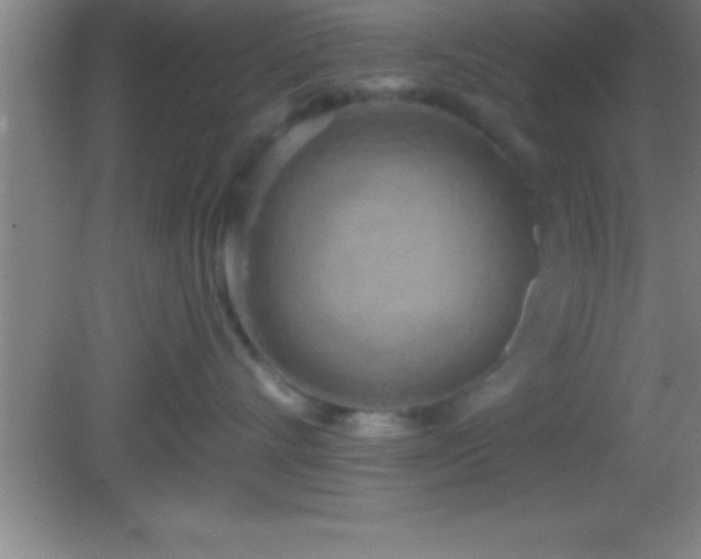 X0000081600528200701221139