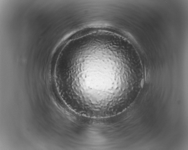 X0000081600531200701221139