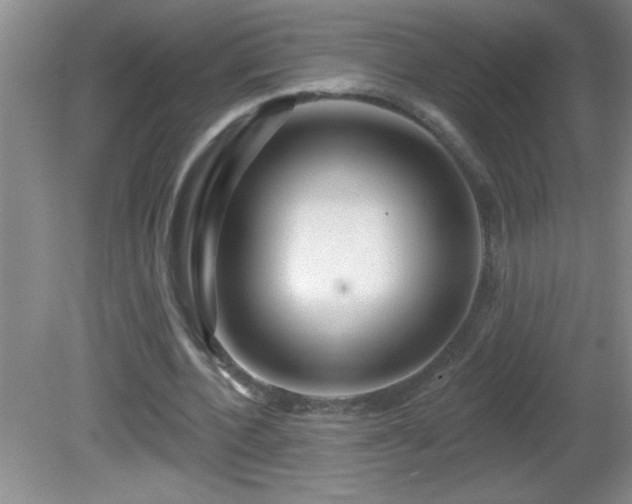 X0000081600532200701221139