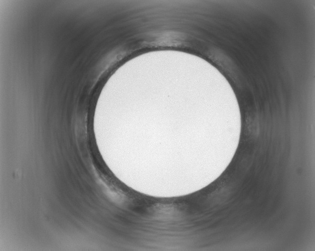 X0000081600534200701221139