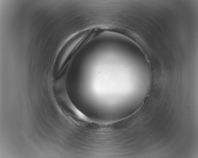 X0000081600536200701221139