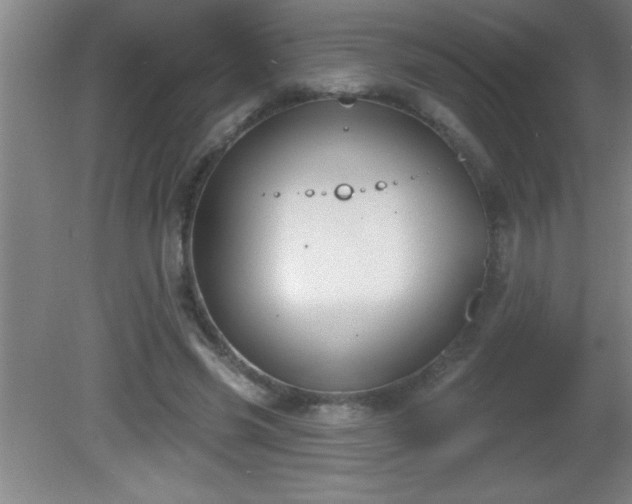 X0000081600541200701221139