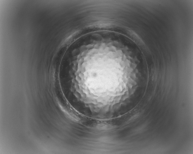 X0000081600542200701221139