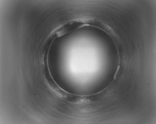 X0000081600543200701221139