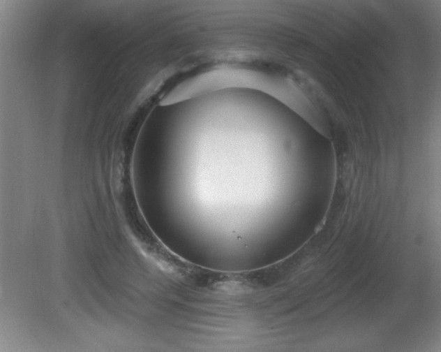 X0000081600544200701221139