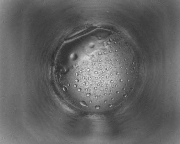 X0000081600545200701221139