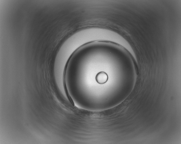 X0000081600546200701221139