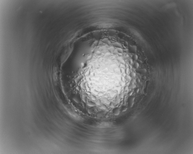 X0000081600549200701221139