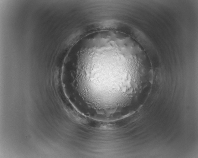 X0000081600550200701221139